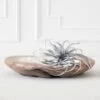 Faux Air Plant -Online Furniture Sale webimage 209204773 1