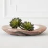 Faux Thorn Succulent Pick -Online Furniture Sale webimage 209207824