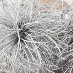 Metallic Sphere -Online Furniture Sale webimage 209209486 dtl