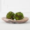 Faux Succulent Ball 1 Faux Succulent Ball -Online Furniture Sale webimage 209407367 3