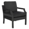 Desi Arm Chair -Online Furniture Sale webimage 601147610 jpg 1