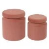 Hanna Storage - Ottoman Set Of 2 -Online Furniture Sale webimage 601475439 jpg