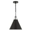 Randall Pendant 2 Randall Pendant -Online Furniture Sale webimage 612210241 jpg