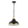 Carter Pendant -Online Furniture Sale webimage 612740478 SIL