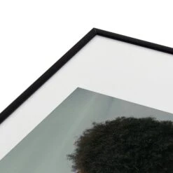 Venus 2 9 Venus 2 -Online Furniture Sale webimage 630727209 DTL2