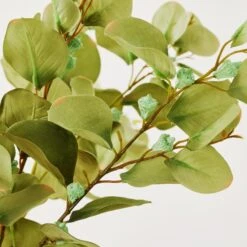 Eucalyptus Spray - Set Of 3 -Online Furniture Sale webimage 999172481 dtl 1